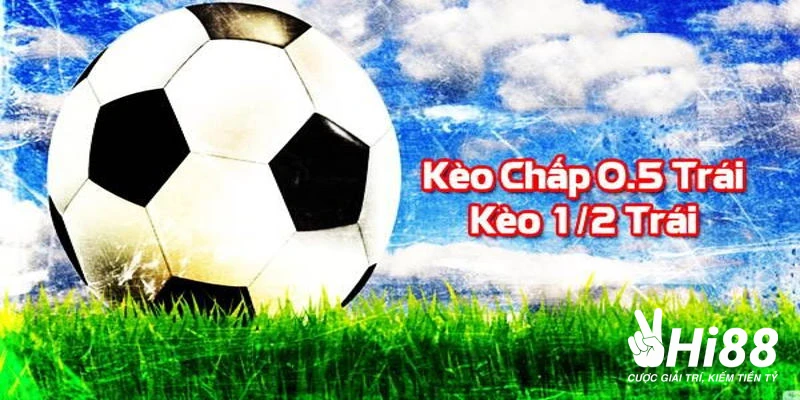 Kèo Chấp Là Gì? Cách Tính Toán Thắng Thua Tỷ Lệ Chấp Cơ Bản Tỷ lệ của kèo chấp handicap 0.5