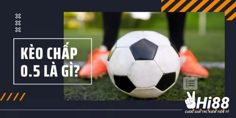 Kèo Chấp Là Gì? Cách Tính Toán Thắng Thua Tỷ Lệ Chấp Cơ Bản Cách chơi tỷ lệ kèo chấp handicap 0.75