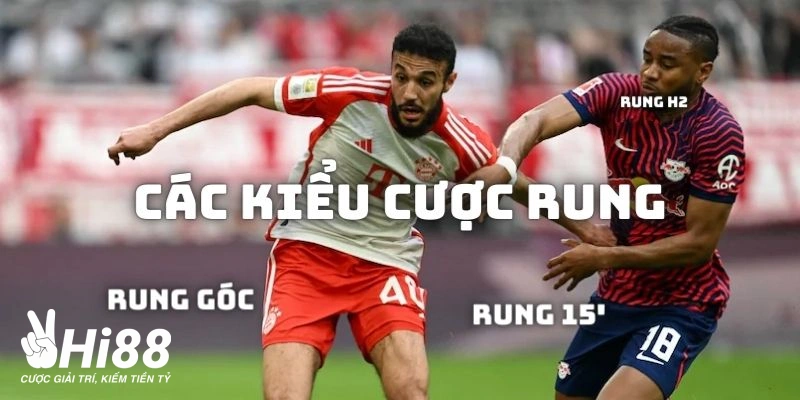 Kèo Rung - Hướng Dẫn Cách Đánh Kèo Rung Trong Bóng Đá Cho Người Mới Những cách đánh kèo rung thịnh hành nhất